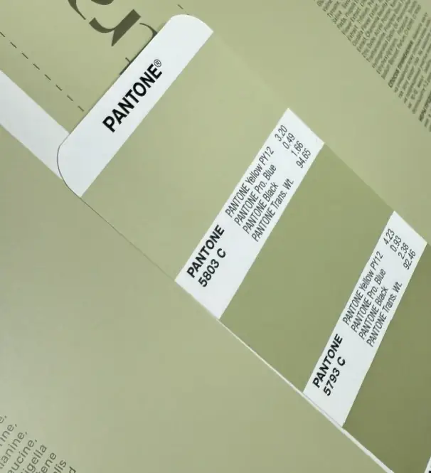 Сверка цветопробы с веером Pantone